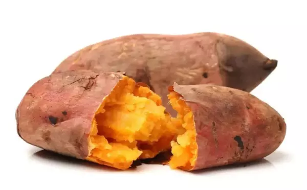 电烤箱食谱大全300例做法(4)