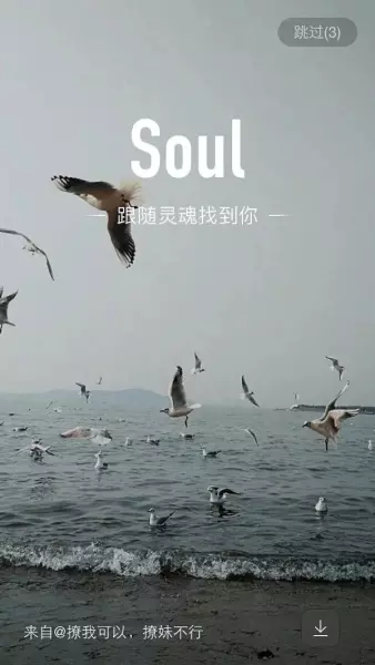 中年同志用什么软件聊天(4)
