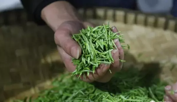 最高档的茶叶是什么牌子(15)