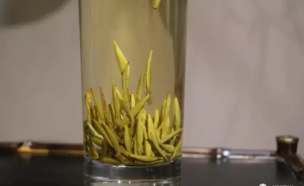 最高档的茶叶是什么牌子(7)