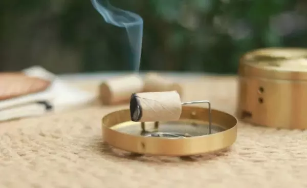 屋里潮湿怎么办最快最有效的方法(2)