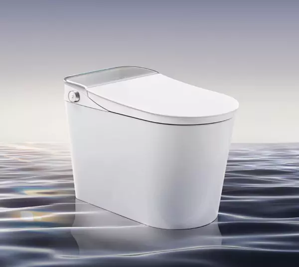 国产智能马桶品牌排名(10)