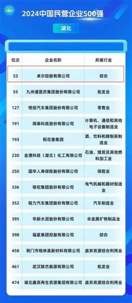 卓尔发展集团(武汉)有限公司(1)