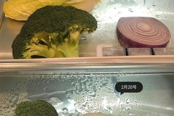 家电选购顺序最强指南.