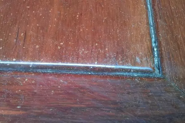 木板生虫子用什么杀虫药管用(2)