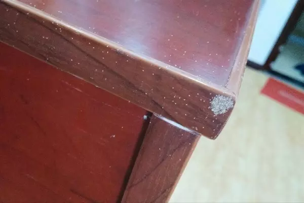 木板生虫子用什么杀虫药管用(3)