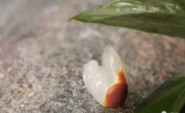 一红二白三黑四黄指的是什么(11)