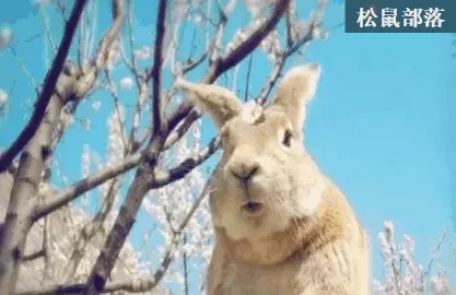 点点梦想城在郑州哪里(12)