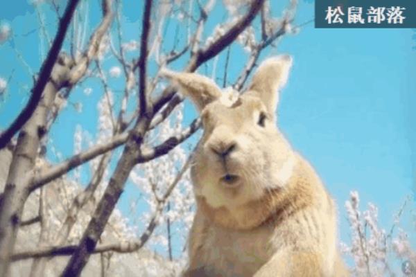 点点梦想城在郑州哪里.