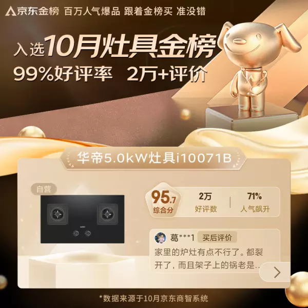 燃气灶排行榜十大名牌有哪些牌子(9)