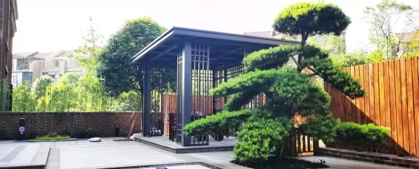 屋顶花园地面铺什么材料好(2)
