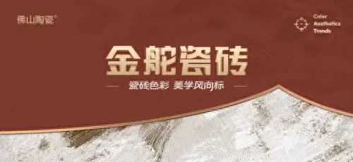 金舵瓷砖是几线品牌质量怎么样(1)
