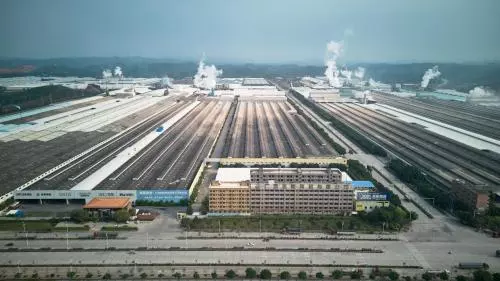 金舵瓷砖是几线品牌质量怎么样(2)