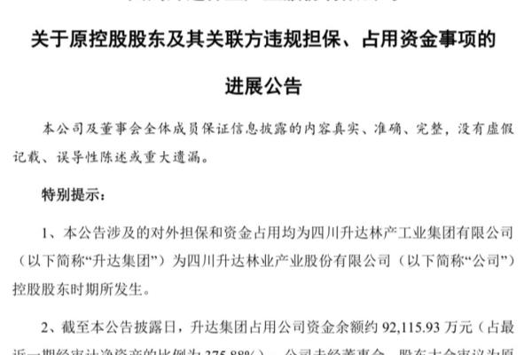 升达林业什么时候st.