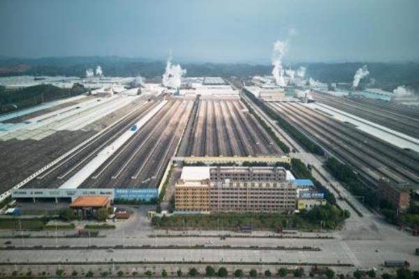 金舵瓷砖是几线品牌质量怎么样.