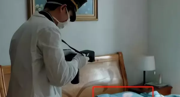 家居搭配师是干什么的(5)
