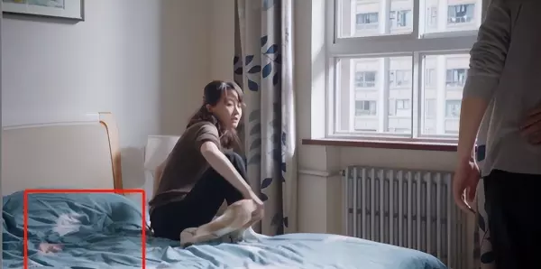 家居搭配师是干什么的(6)