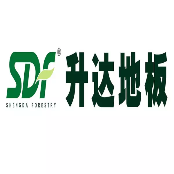 德尔地板怎么样是一线品牌吗(11)