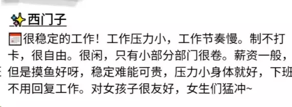 西门子正式员工待遇怎么样(3)