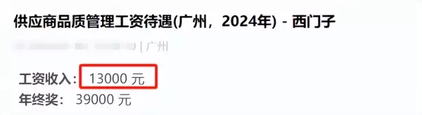 西门子正式员工待遇怎么样(5)