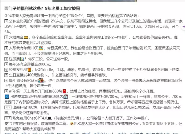 西门子正式员工待遇怎么样(9)