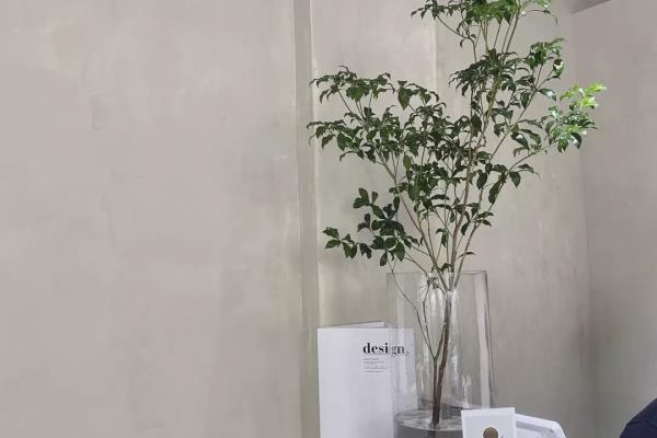 马来漆施工的技巧和方法.