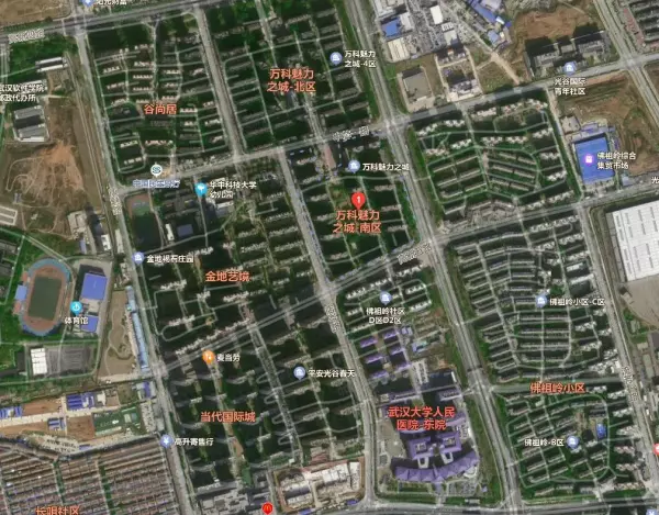 保利华都对口华师一附中吗(47)