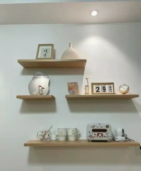 家庭室内装修墙面用什么材料好(13)