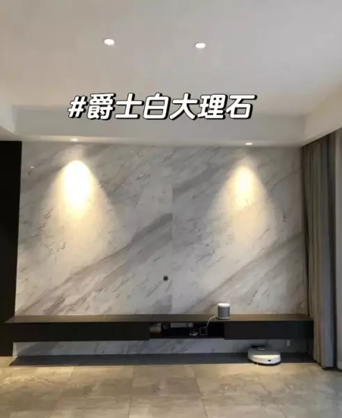 家庭室内装修墙面用什么材料好(15)