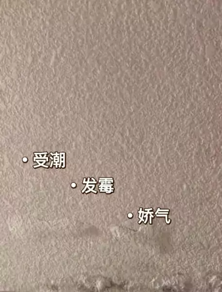 家庭室内装修墙面用什么材料好(19)