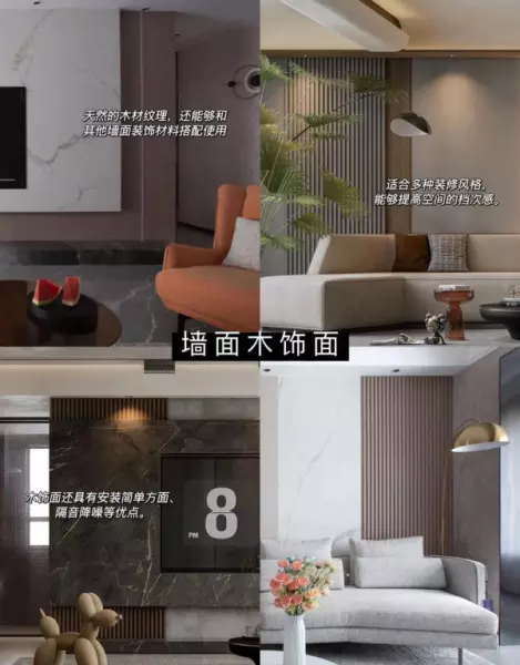 家庭室内装修墙面用什么材料好(27)