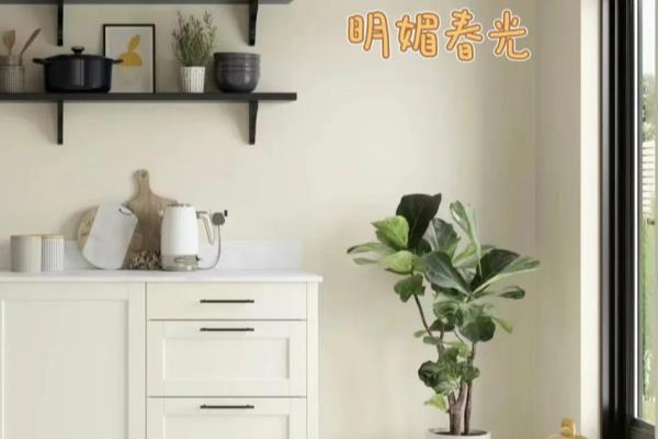 多乐士色卡怎么快速找型号.