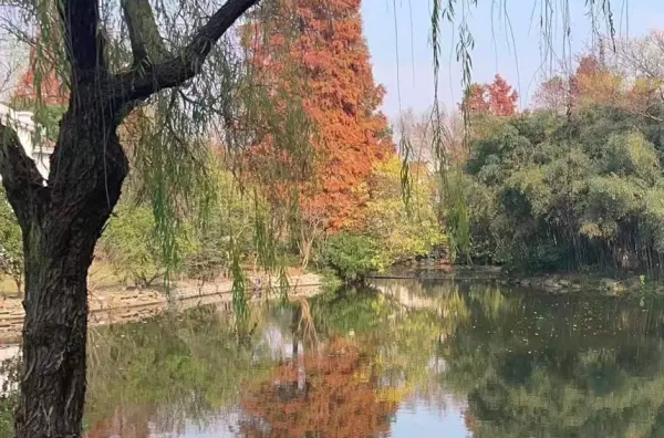 佘山月湖山庄物业垄断了吗(1)
