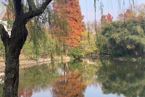 佘山月湖山庄物业垄断了吗.