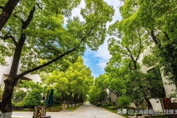 明园森林都市一期好还是三期好.