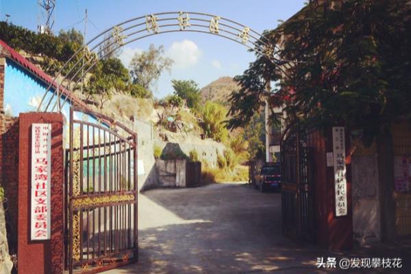 东区国际公寓属于什么街道.