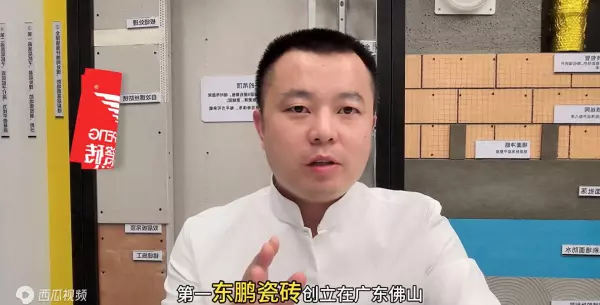 鹰牌陶瓷和东鹏陶瓷比较哪个好(1)