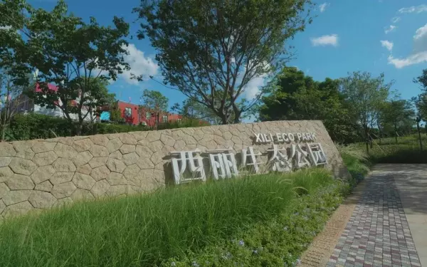 桑泰丹华公馆是住宅还是公寓(7)