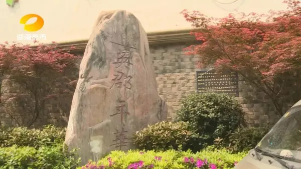 英郡年华属于哪个街道(1)