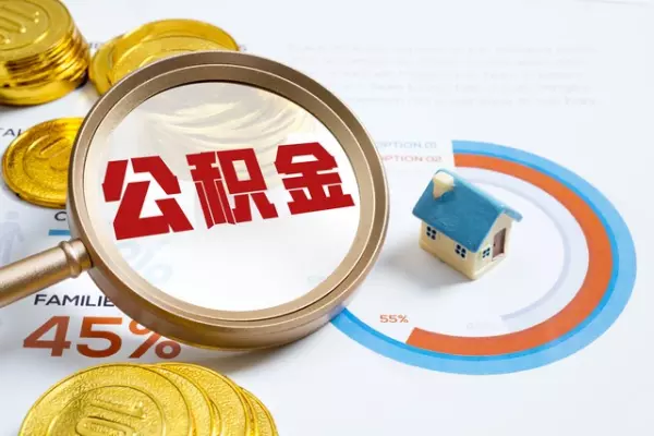 武汉公积金查询 个人 余额查询(2)