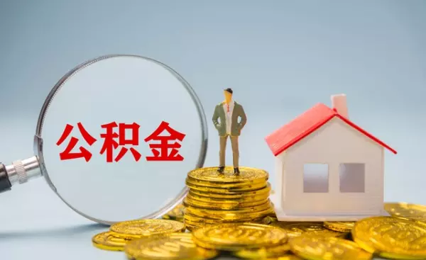 武汉公积金查询 个人 余额查询(5)