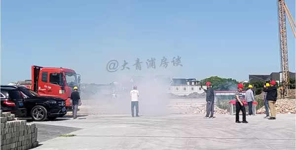 淀山湖别墅哪个小区好(20)