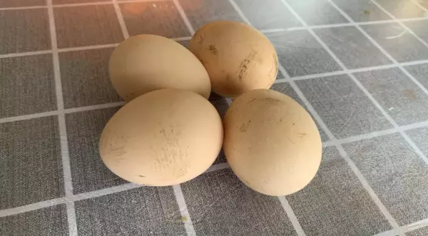 打荷包蛋是冷水下锅还是热水下锅(5)