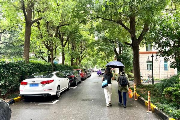 沪太路799号属于哪个区.