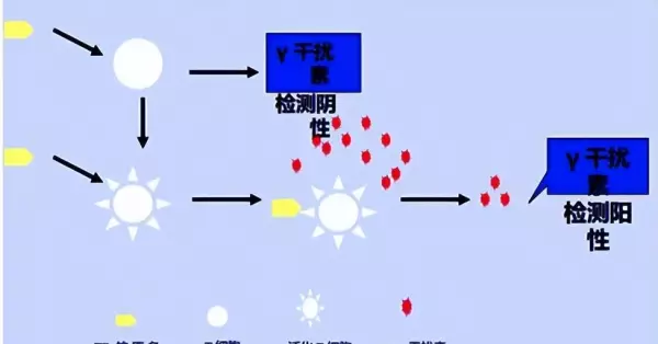 p4是什么检查项目(5)