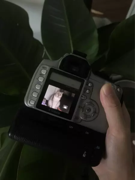 佳能30d和350d哪个好(1)