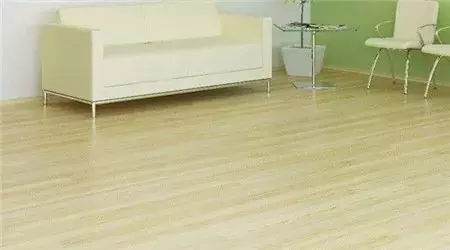 小叶樟木与香樟木的区别(2)