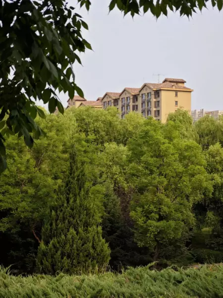 浅山香邑为什么便宜(18)