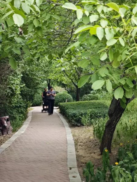 浅山香邑为什么便宜(23)