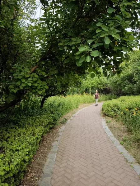 浅山香邑为什么便宜(25)